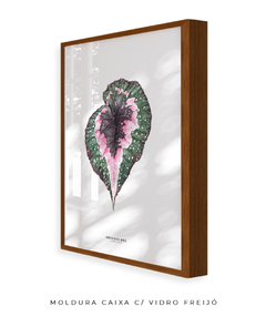 Imagem do Quadro decorativo Begonia Rex