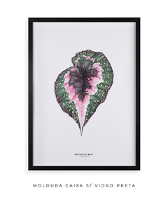 Quadro decorativo Begonia Rex - loja online