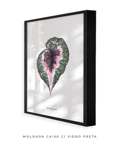 Imagem do Quadro decorativo Begonia Rex