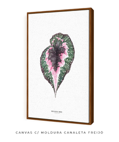 Quadro decorativo Begonia Rex na internet