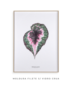 Quadro decorativo Begonia Rex na internet