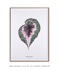 Imagem do Quadro decorativo Begonia Rex