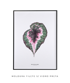 Quadro decorativo Begonia Rex - loja online