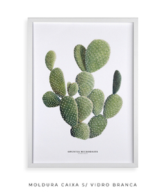 Quadro DECORATIVO Cactos Opuntia - loja online