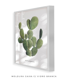 Imagem do Quadro DECORATIVO Cactos Opuntia