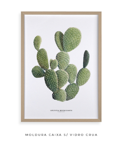 Quadro DECORATIVO Cactos Opuntia