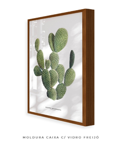 Quadro DECORATIVO Cactos Opuntia - Flowersjuls - Quadros botânicos decorativos | Aquarelas autorais