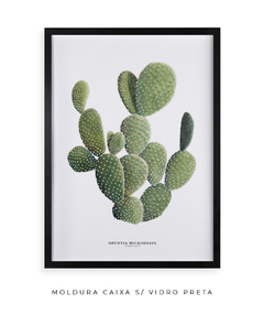 Quadro DECORATIVO Cactos Opuntia - loja online