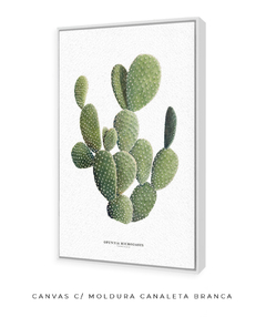 Imagem do Quadro DECORATIVO Cactos Opuntia