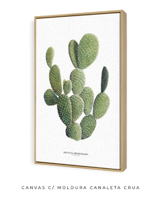 Quadro DECORATIVO Cactos Opuntia