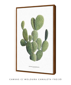 Quadro DECORATIVO Cactos Opuntia na internet