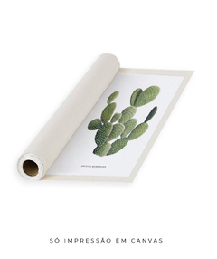 Quadro DECORATIVO Cactos Opuntia