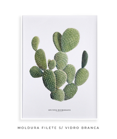 Quadro DECORATIVO Cactos Opuntia - comprar online