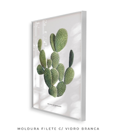 Quadro DECORATIVO Cactos Opuntia na internet