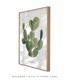 Quadro DECORATIVO Cactos Opuntia - loja online