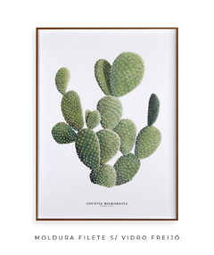 Imagem do Quadro DECORATIVO Cactos Opuntia