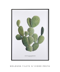 Quadro DECORATIVO Cactos Opuntia - comprar online