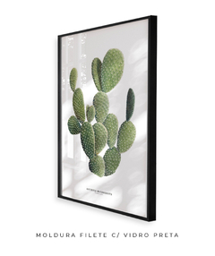 Quadro DECORATIVO Cactos Opuntia na internet