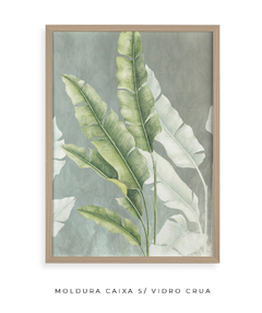 Quadro Decorativo Composição Heliconia II