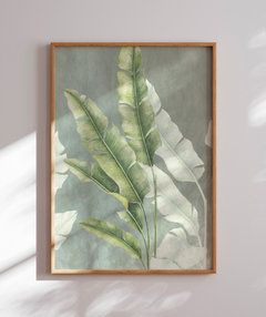 Quadro Decorativo Composição Heliconia II