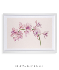 Quadro Decorativo Cymbidium - Flowersjuls - Quadros botânicos decorativos | Aquarelas autorais