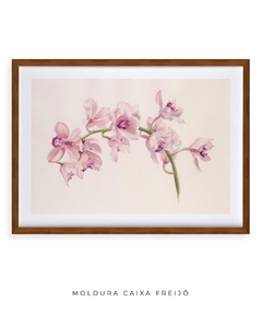 Quadro Decorativo Cymbidium - comprar online