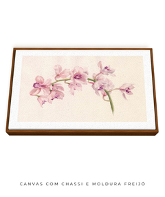 Quadro Decorativo Cymbidium - comprar online