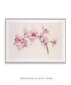 Quadro Decorativo Cymbidium