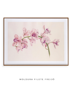 Quadro Decorativo Cymbidium - comprar online