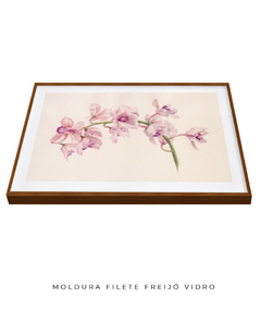 Quadro Decorativo Cymbidium na internet