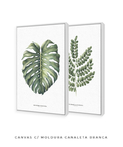 Quadro Decorativo Dupla Monstera + PauBrasil - Flowersjuls - Quadros botânicos decorativos | Aquarelas autorais