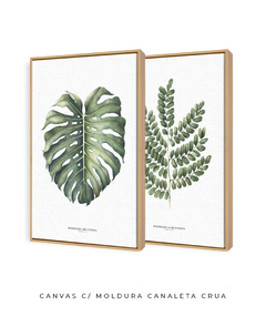 Quadro Decorativo Dupla Monstera + PauBrasil - loja online