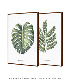 Imagem do Quadro Decorativo Dupla Monstera + PauBrasil