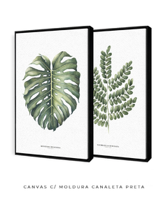 Quadro Decorativo Dupla Monstera + PauBrasil