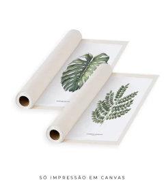 Quadro Decorativo Dupla Monstera + PauBrasil - comprar online