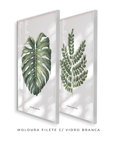 Quadro Decorativo Dupla Monstera + PauBrasil - Flowersjuls - Quadros botânicos decorativos | Aquarelas autorais