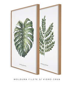 Quadro Decorativo Dupla Monstera + PauBrasil - loja online