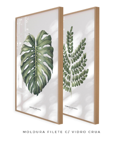 Imagem do Quadro Decorativo Dupla Monstera + PauBrasil