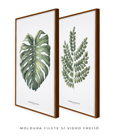 Quadro Decorativo Dupla Monstera + PauBrasil