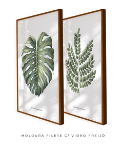 Quadro Decorativo Dupla Monstera + PauBrasil - comprar online