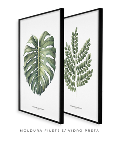 Quadro Decorativo Dupla Monstera + PauBrasil na internet