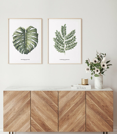 Quadro Decorativo Dupla Monstera + PauBrasil