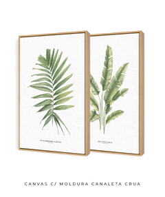 Quadro Decorativo Dupla PalmElegans + Heliconia - comprar online