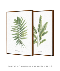 Quadro Decorativo Dupla PalmElegans + Heliconia