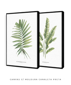 Quadro Decorativo Dupla PalmElegans + Heliconia - comprar online