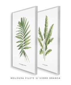 Quadro Decorativo Dupla PalmElegans + Heliconia - loja online