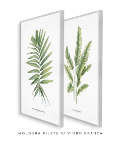 Quadro Decorativo Dupla PalmElegans + Heliconia - loja online