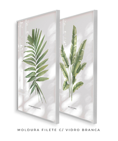 Imagem do Quadro Decorativo Dupla PalmElegans + Heliconia