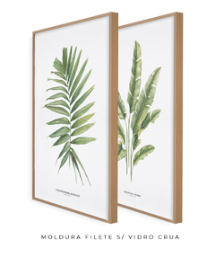 Quadro Decorativo Dupla PalmElegans + Heliconia