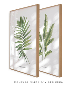 Quadro Decorativo Dupla PalmElegans + Heliconia - comprar online